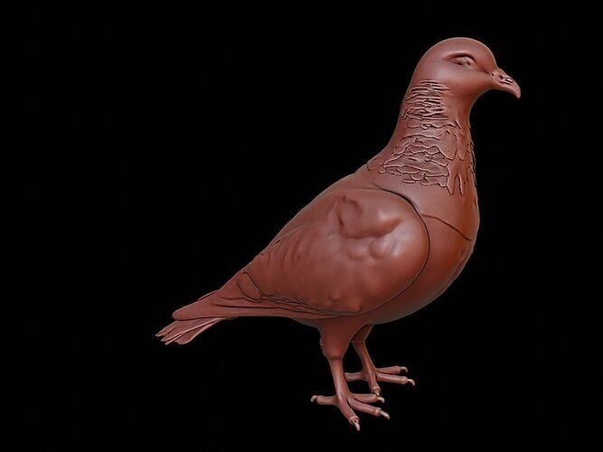 Pigeon Animal Sculpture 3D print model