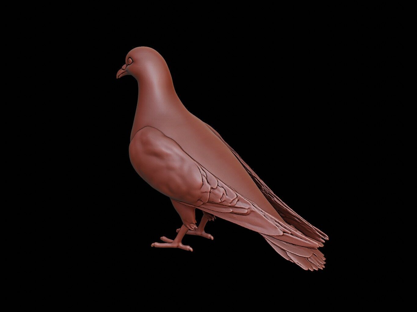 Pigeon Animal Sculpture 3D print model_2