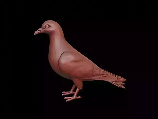 Pigeon Animal Sculpture
