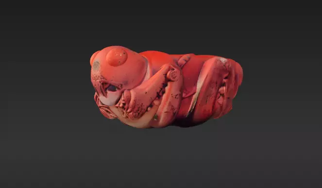 INDIANA JONES  ARTEFACT RAIDERS  aztec grasshopper  3D model_0