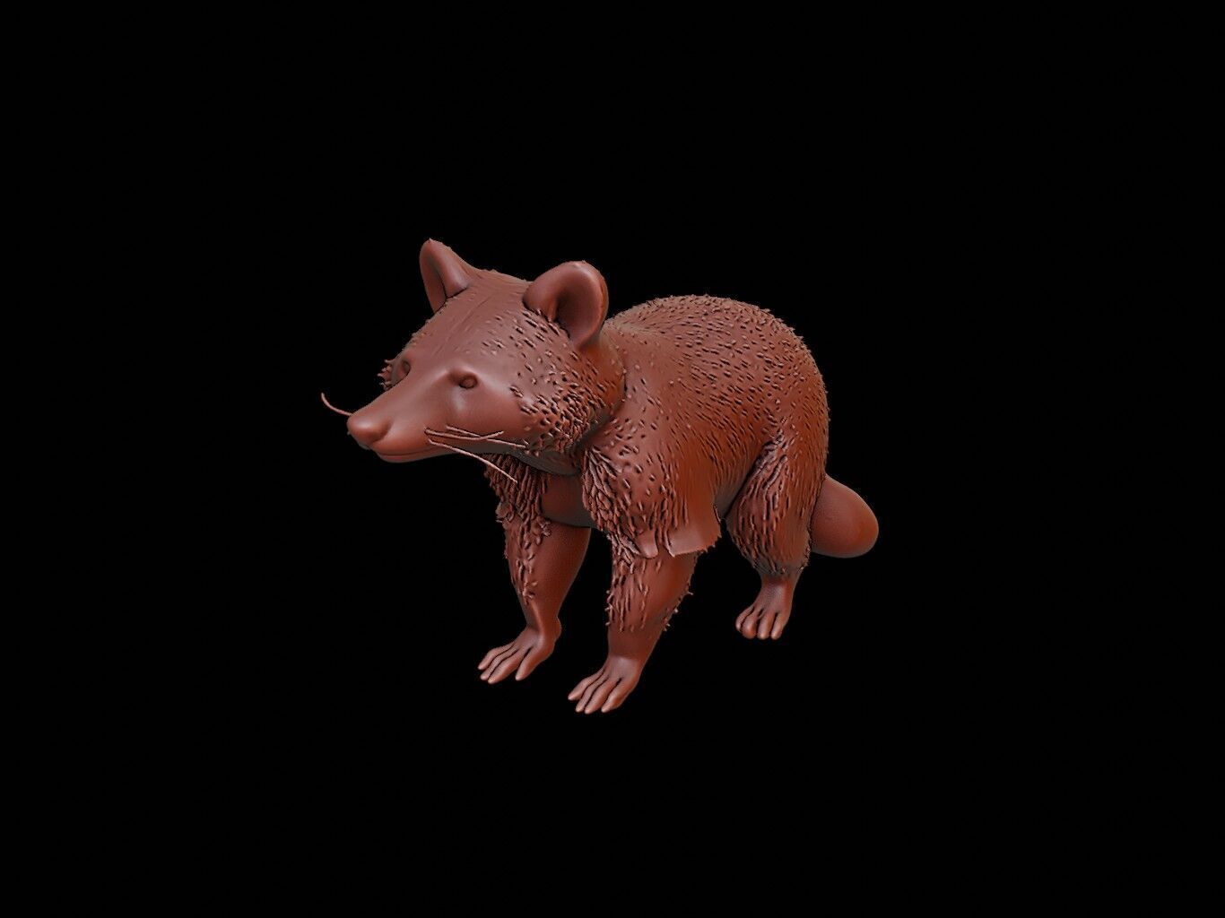 Raccoon Animal Sculpture 3D print model_2