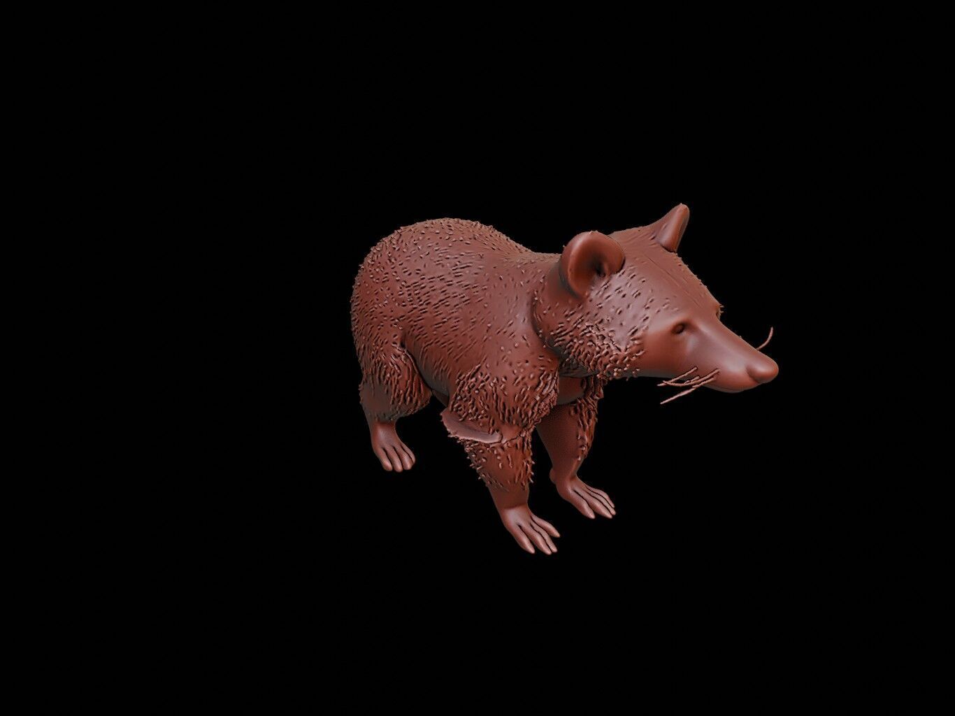 Raccoon Animal Sculpture 3D print model_1