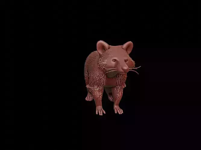 Raccoon Animal Sculpture
