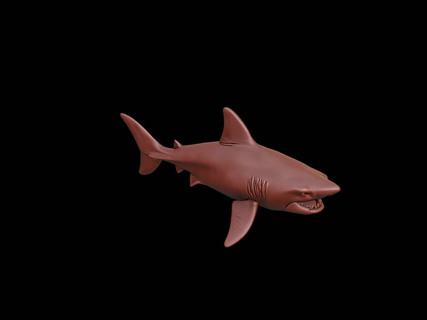 Shark Animal Sculpture 3D print model_1