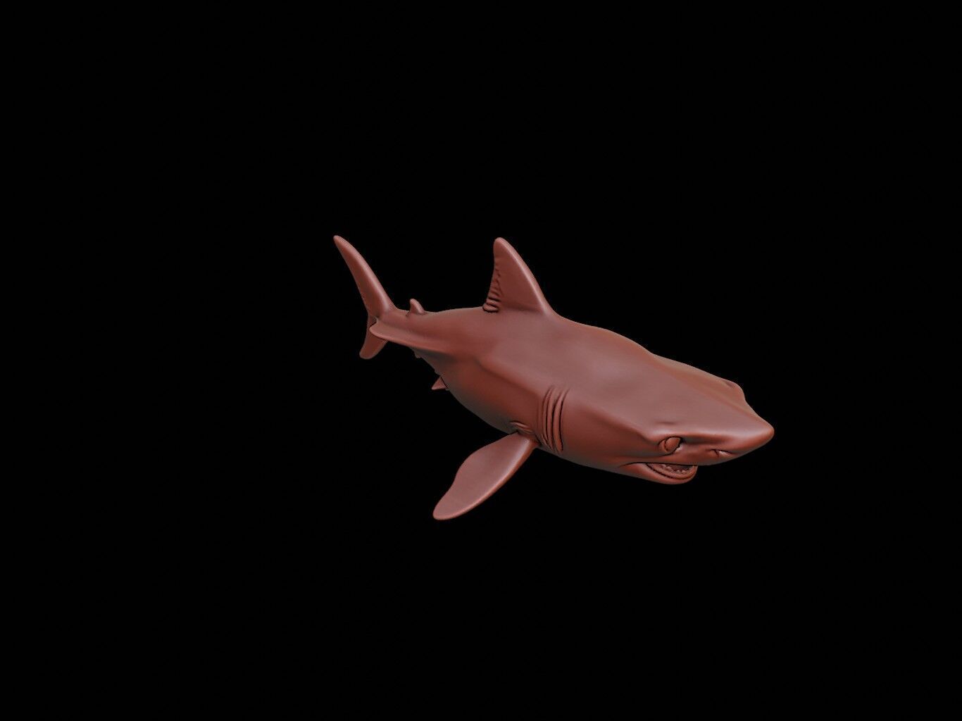 Shark Animal Sculpture 3D print model_1