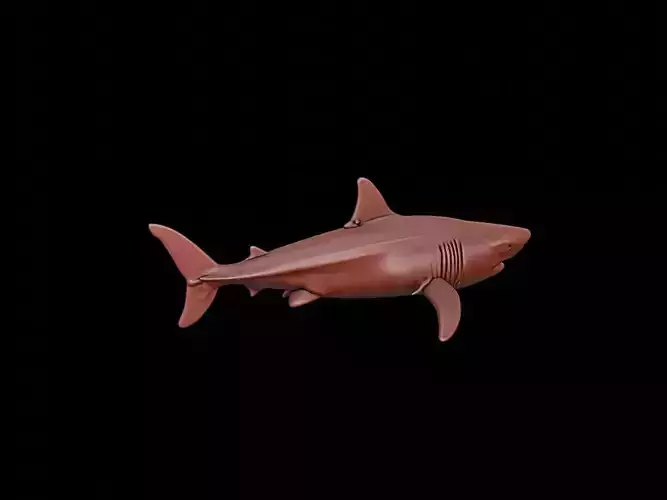 Shark Animal Sculpture