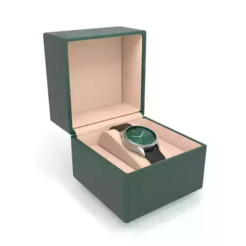 Watch with case