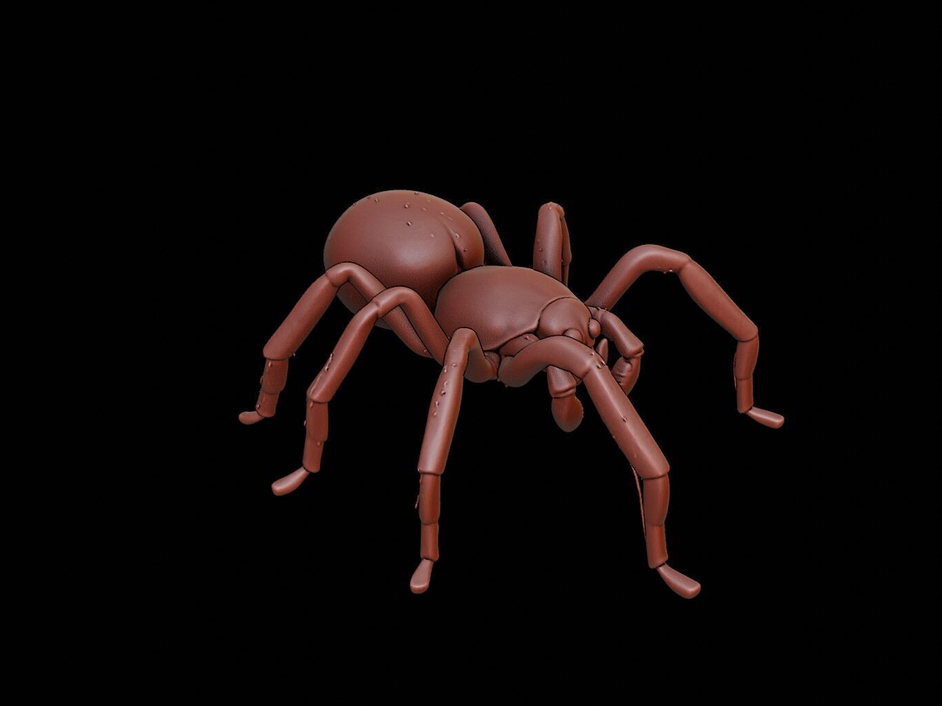 Spider Animal Sculpture 3D print model_1