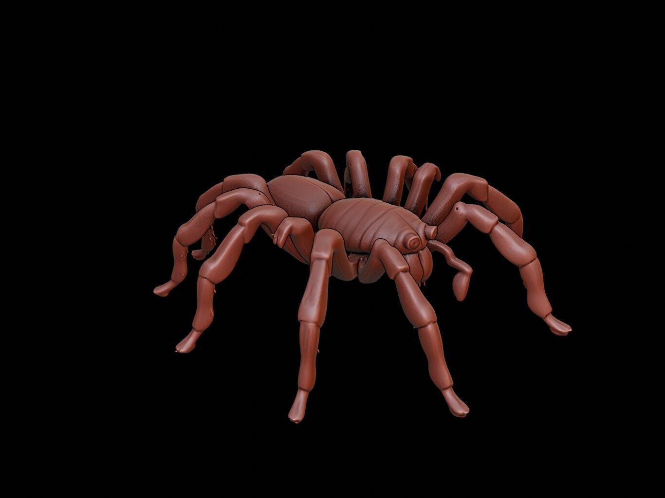 Spider Animal Sculpture 3D print model_1