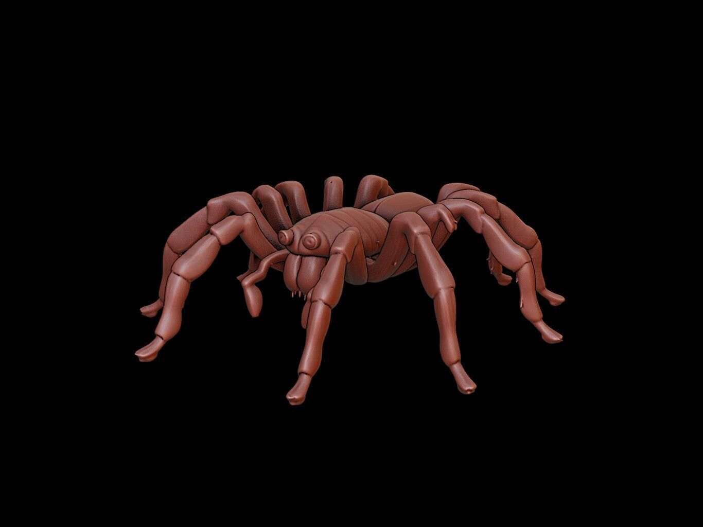 Spider Animal Sculpture 3D print model_2