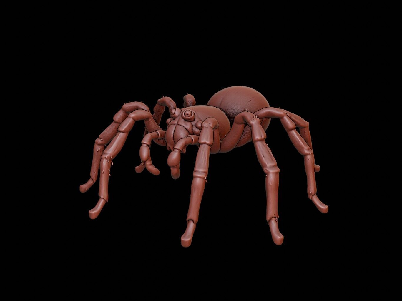 Spider Animal Sculpture 3D print model_2