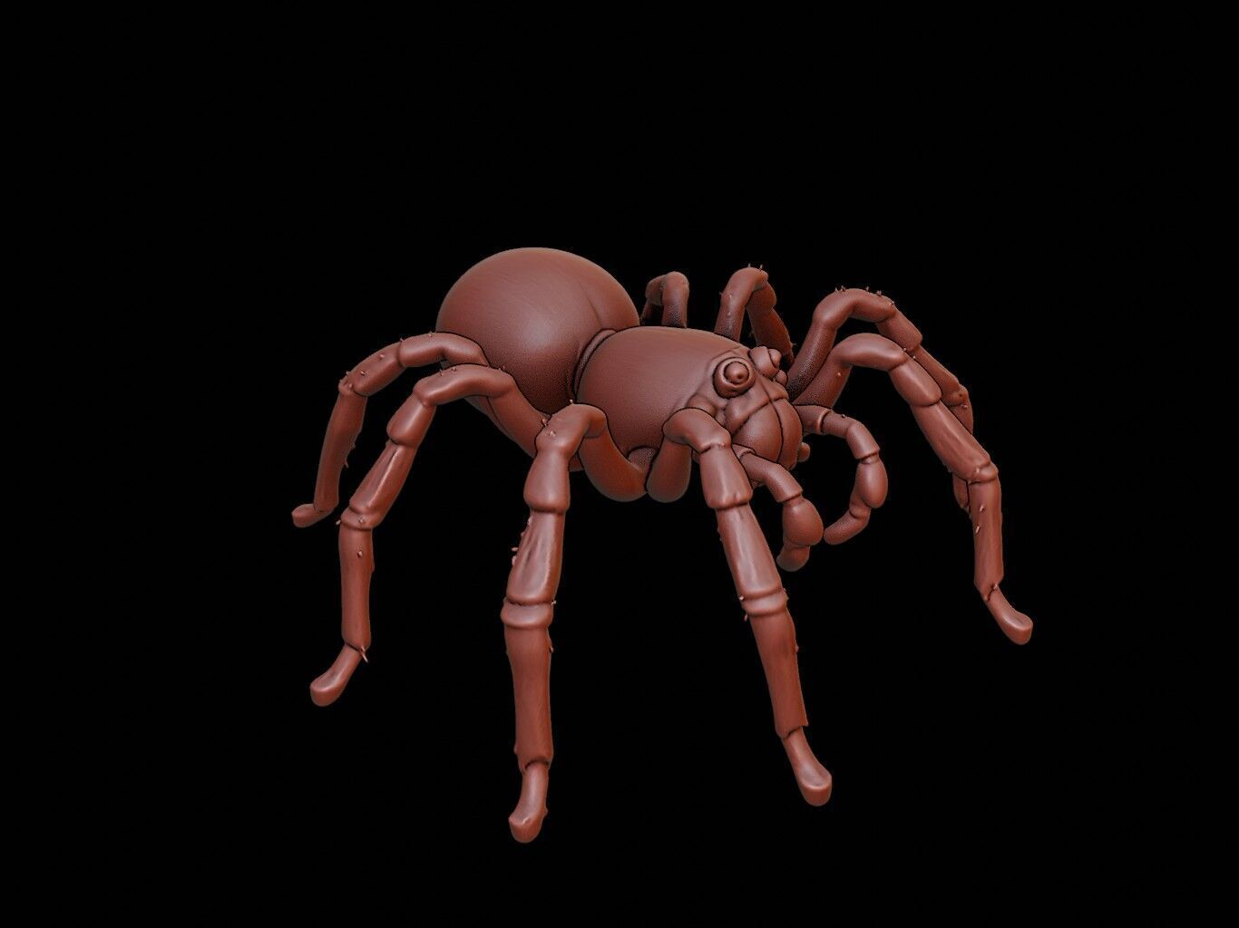 Spider Animal Sculpture 3D print model_1