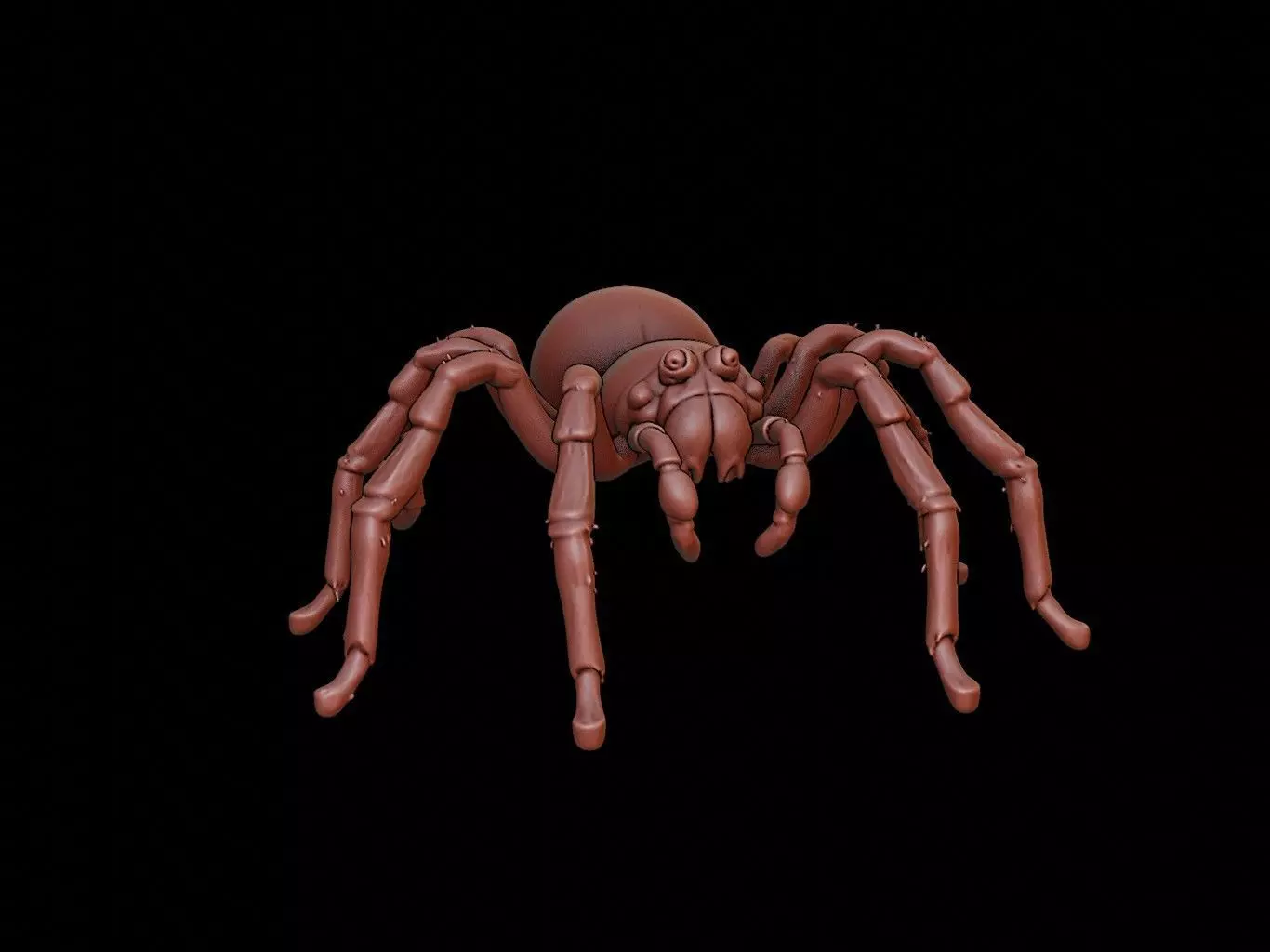 Spider Animal Sculpture 3D print model_0