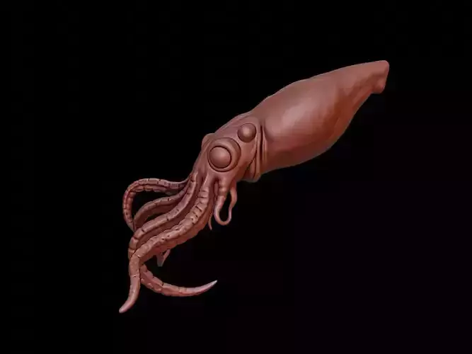 Squid Animal Sculpture 3D print model