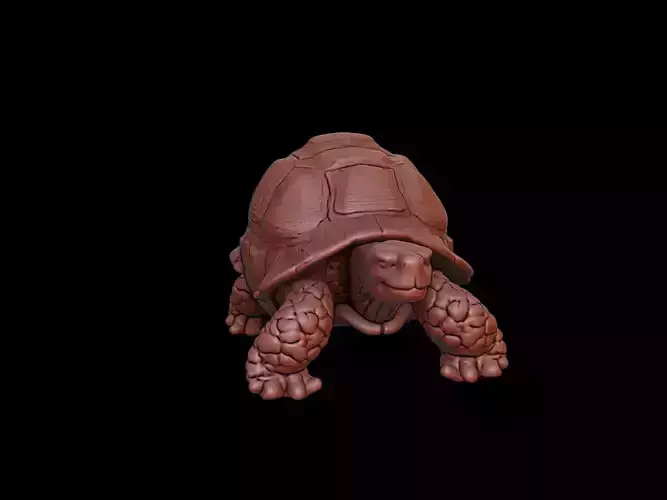 Tortoise Animal Sculpture