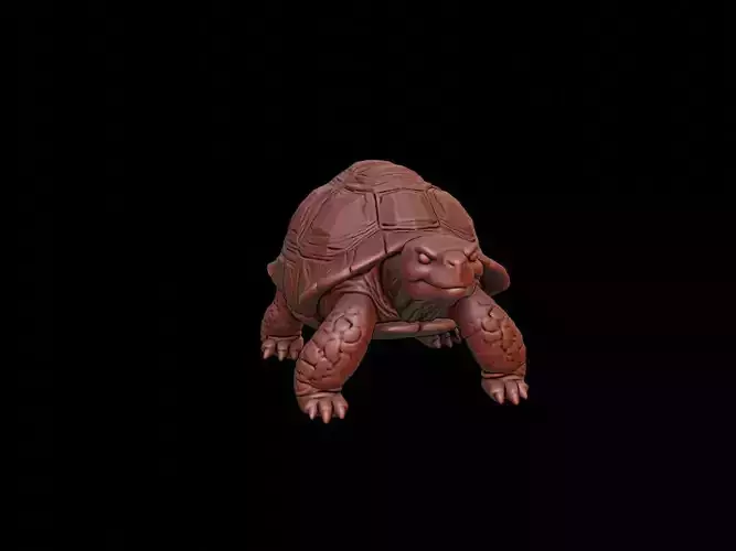 Tortoise Animal Sculpture