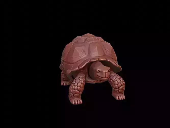 Tortoise Animal Sculpture