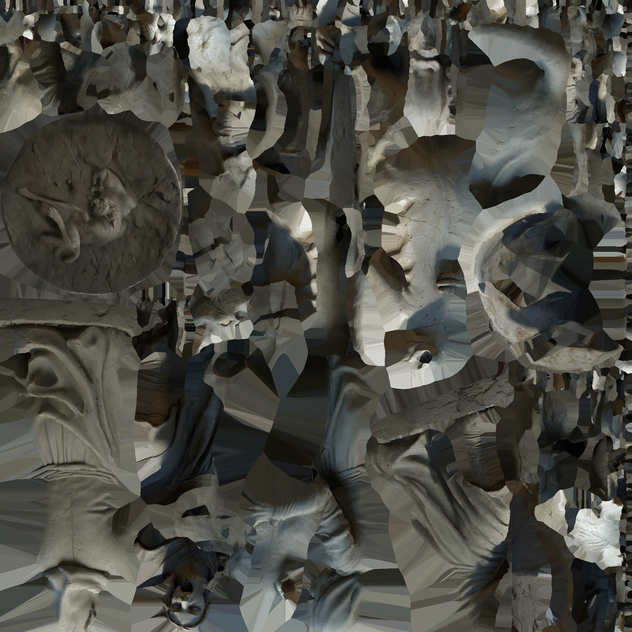 women holding cat 03 Low-poly 3D model_9