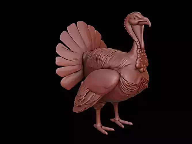 Turkey Animal Sculpture