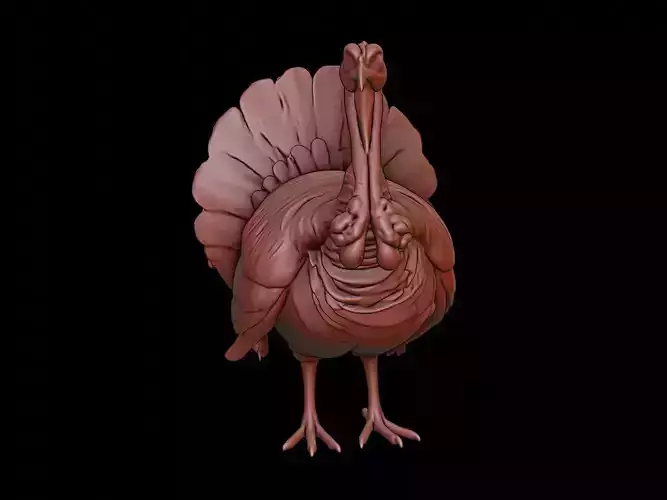 Turkey Animal Sculpture