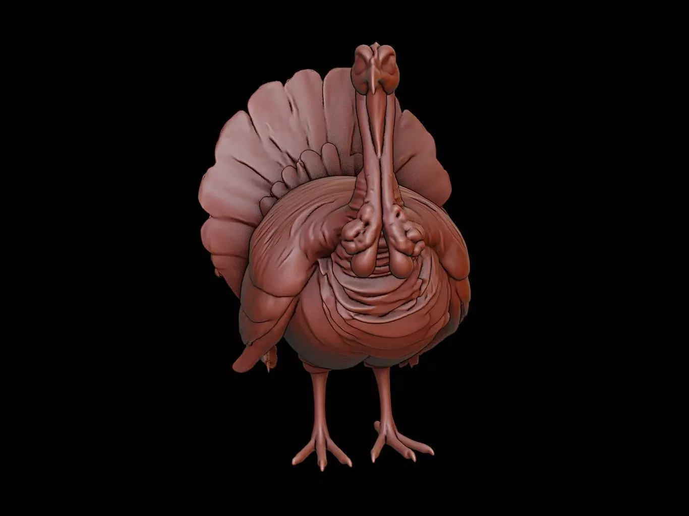Turkey Animal Sculpture 3D print model
