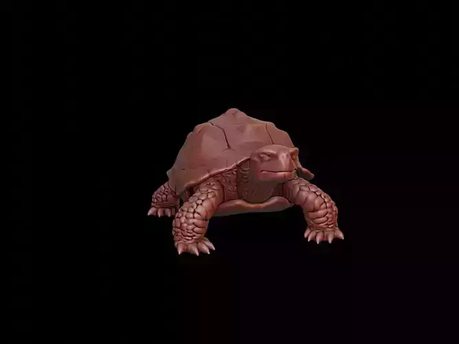 Turtle Animal Sculpture