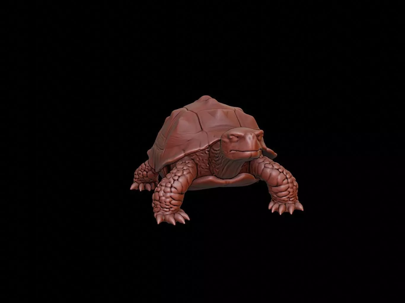 Turtle Animal Sculpture 3D print model