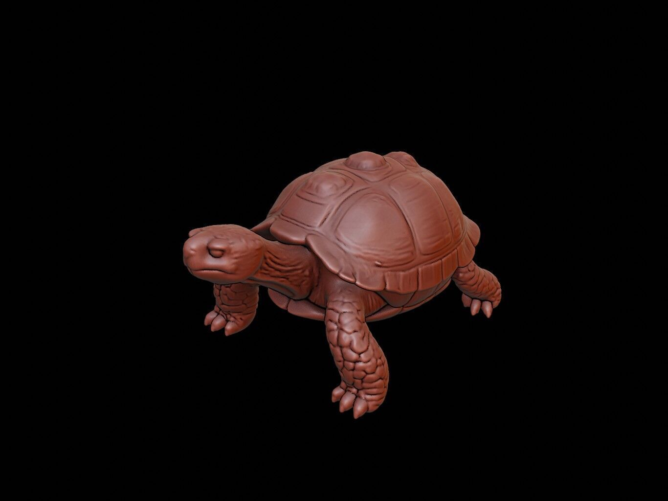 Turtle Animal Sculpture 3D print model_1