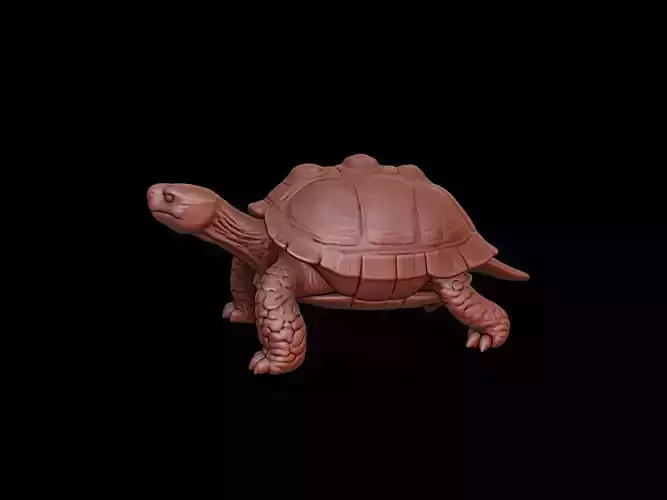 Turtle Animal Sculpture