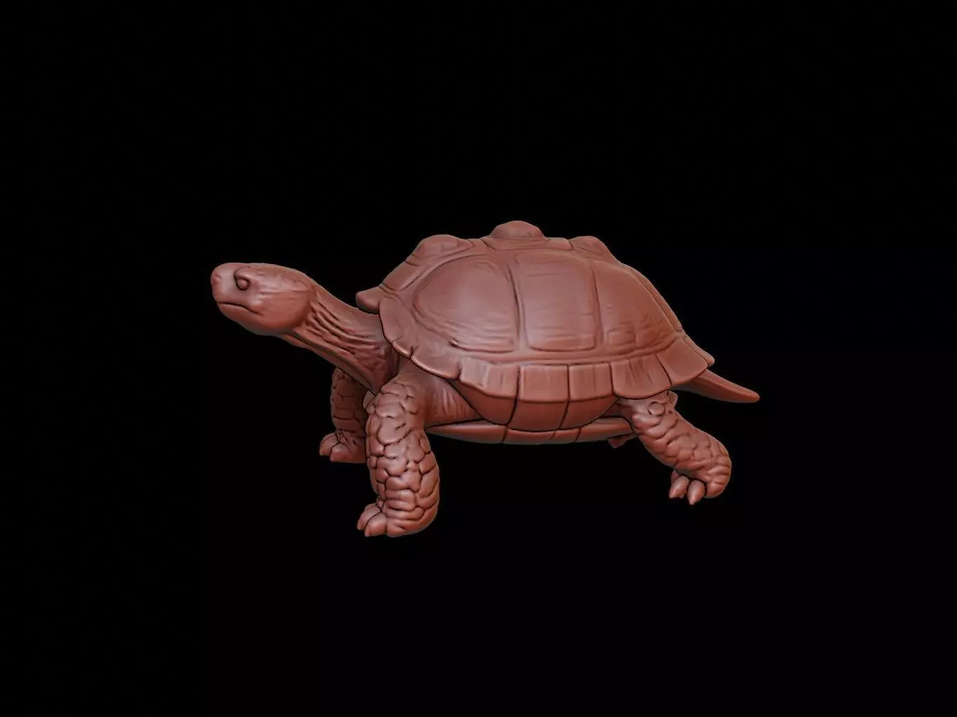 Turtle Animal Sculpture 3D print model_0
