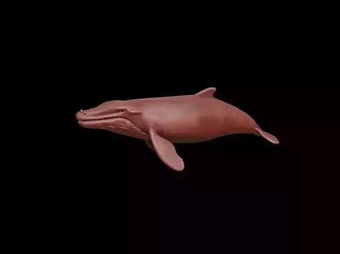 Whale Animal Sculpture