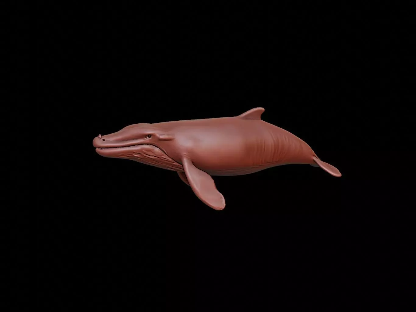 Whale Animal Sculpture 3D print model_0