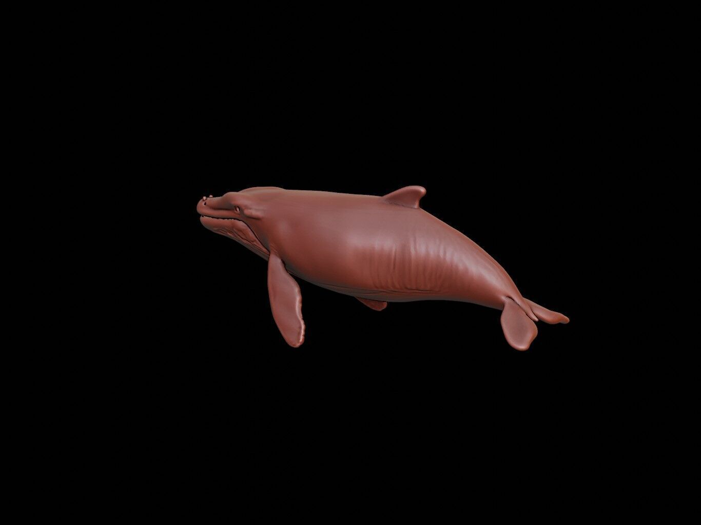 Whale Animal Sculpture 3D print model_2