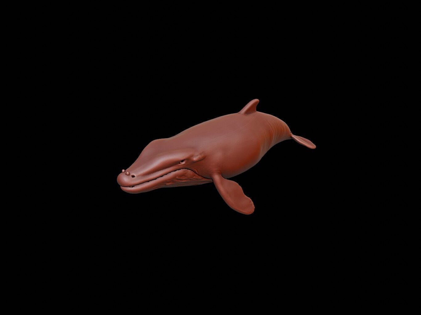 Whale Animal Sculpture 3D print model_1