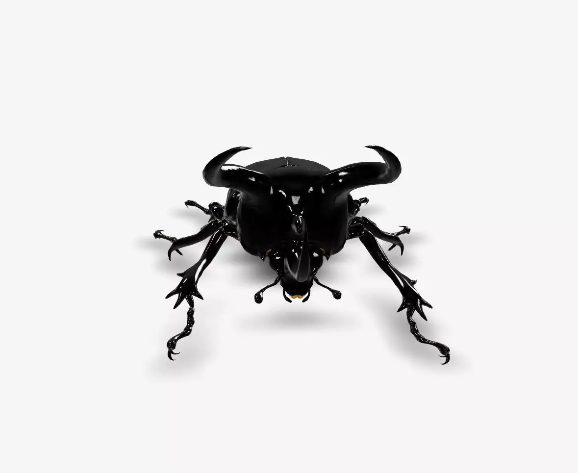 atlas beetle 3D model