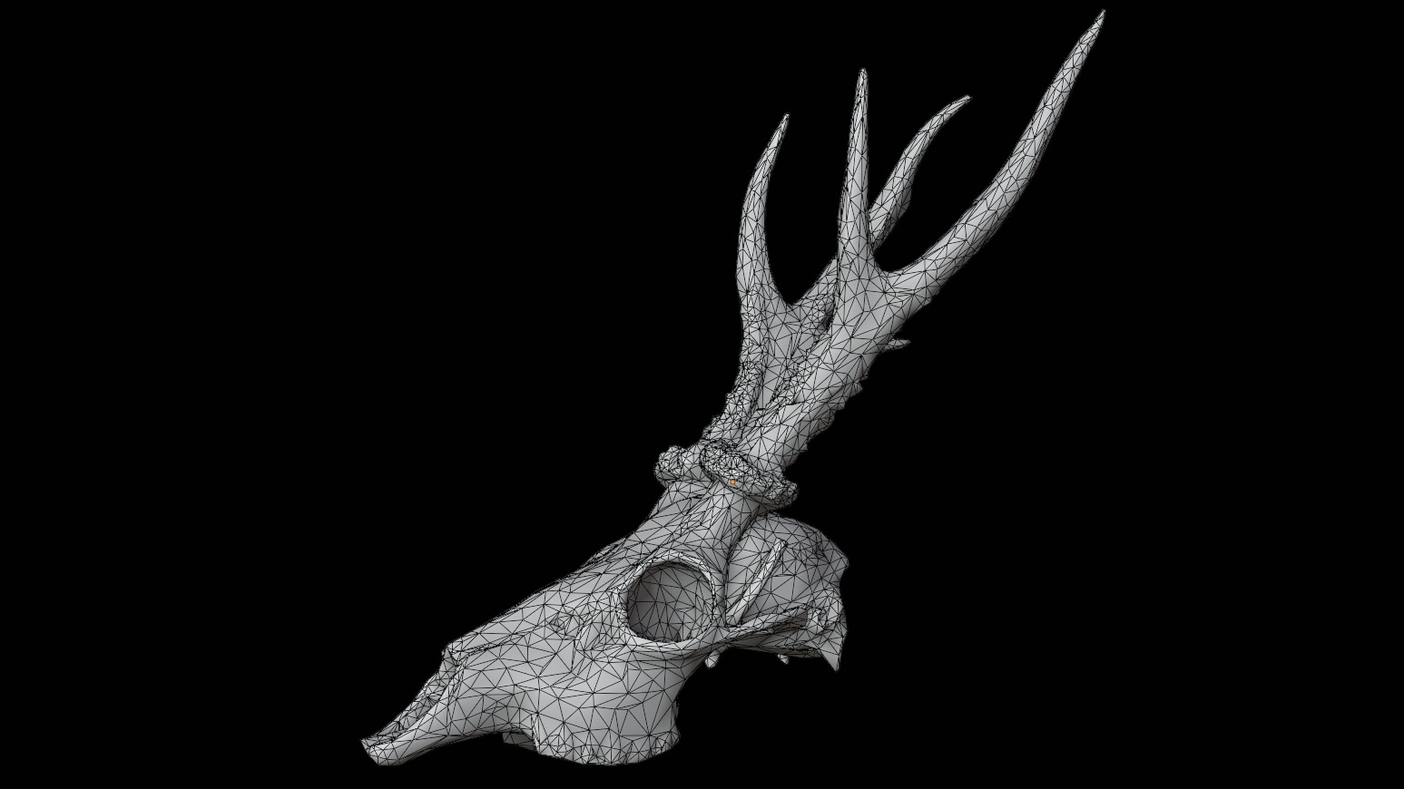 Gazelle Skull Low-poly 3D model_11