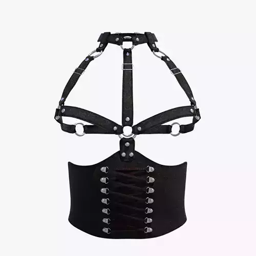 Body Harness SXS36