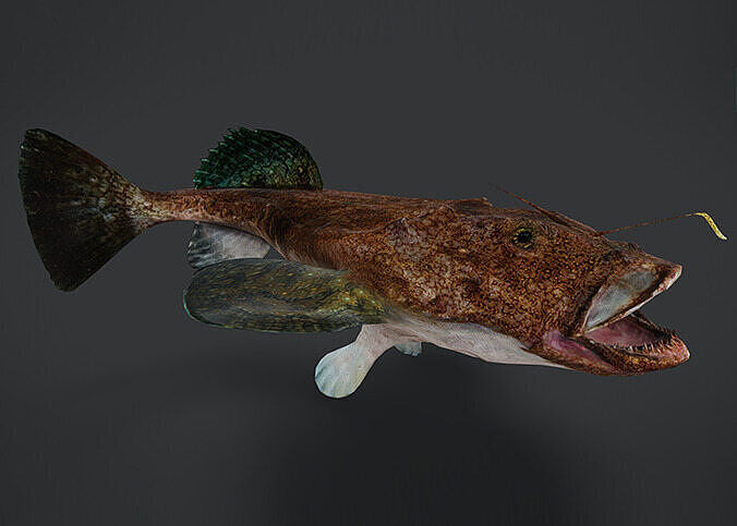 Goosefish - Anglerfish - Ocean Horror Monster - Animated 3D model