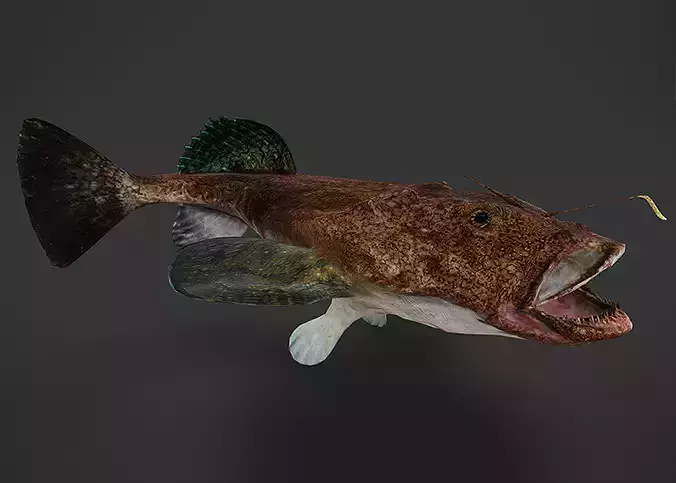 Goosefish - Anglerfish - Ocean Horror Monster - Animated 3D model