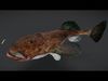 Goosefish - Anglerfish - Ocean Horror Monster - Animated 3D model_1