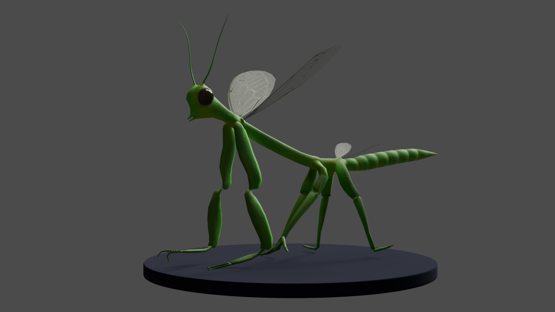 Cric Insect Low-poly 3D model_6