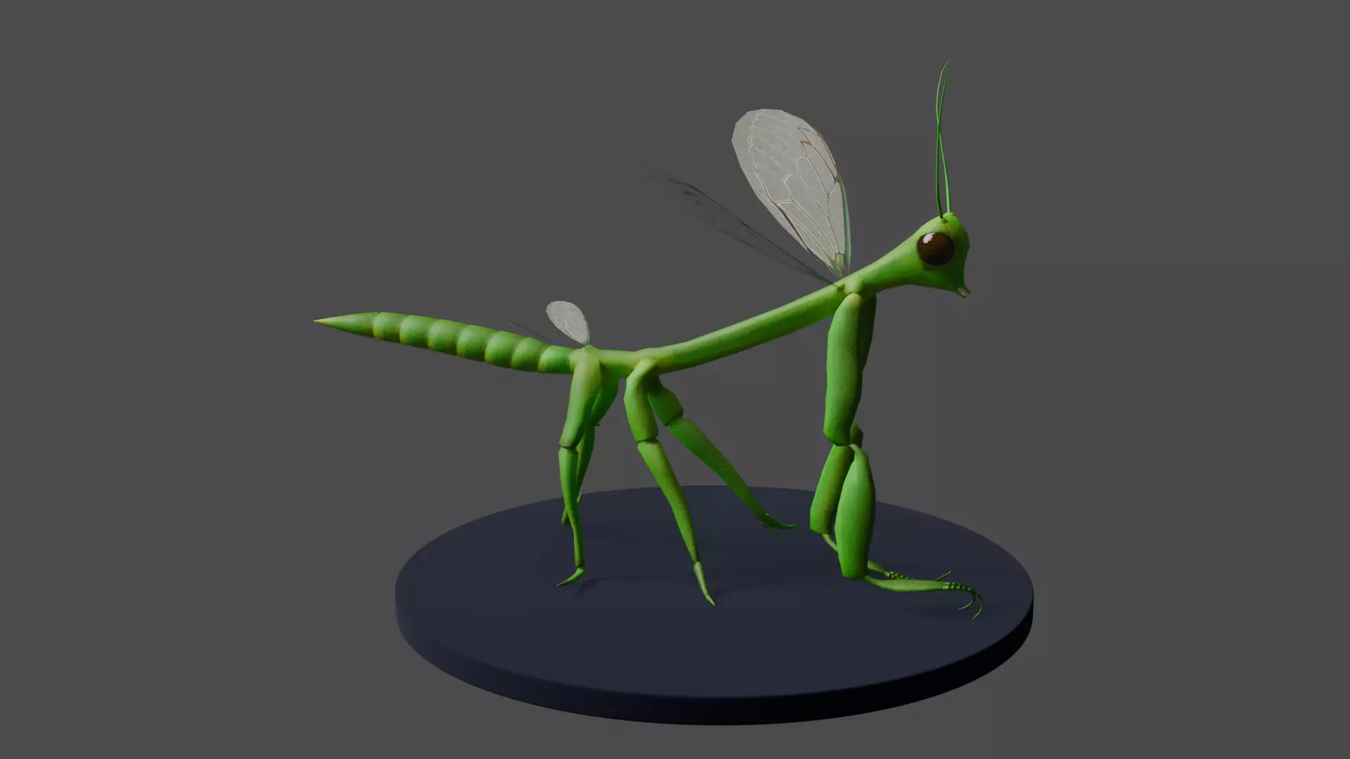 Cric Insect Low-poly 3D model_0