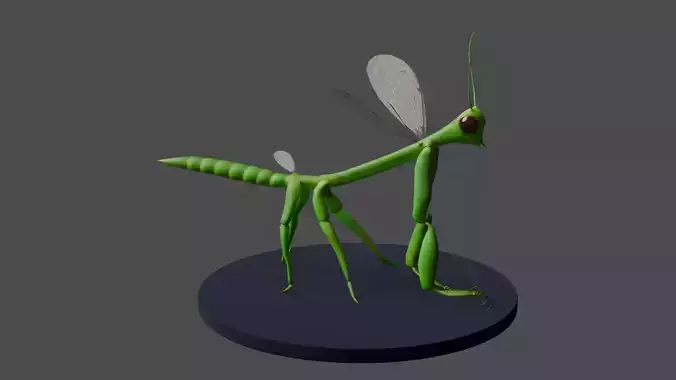 Cric Insect