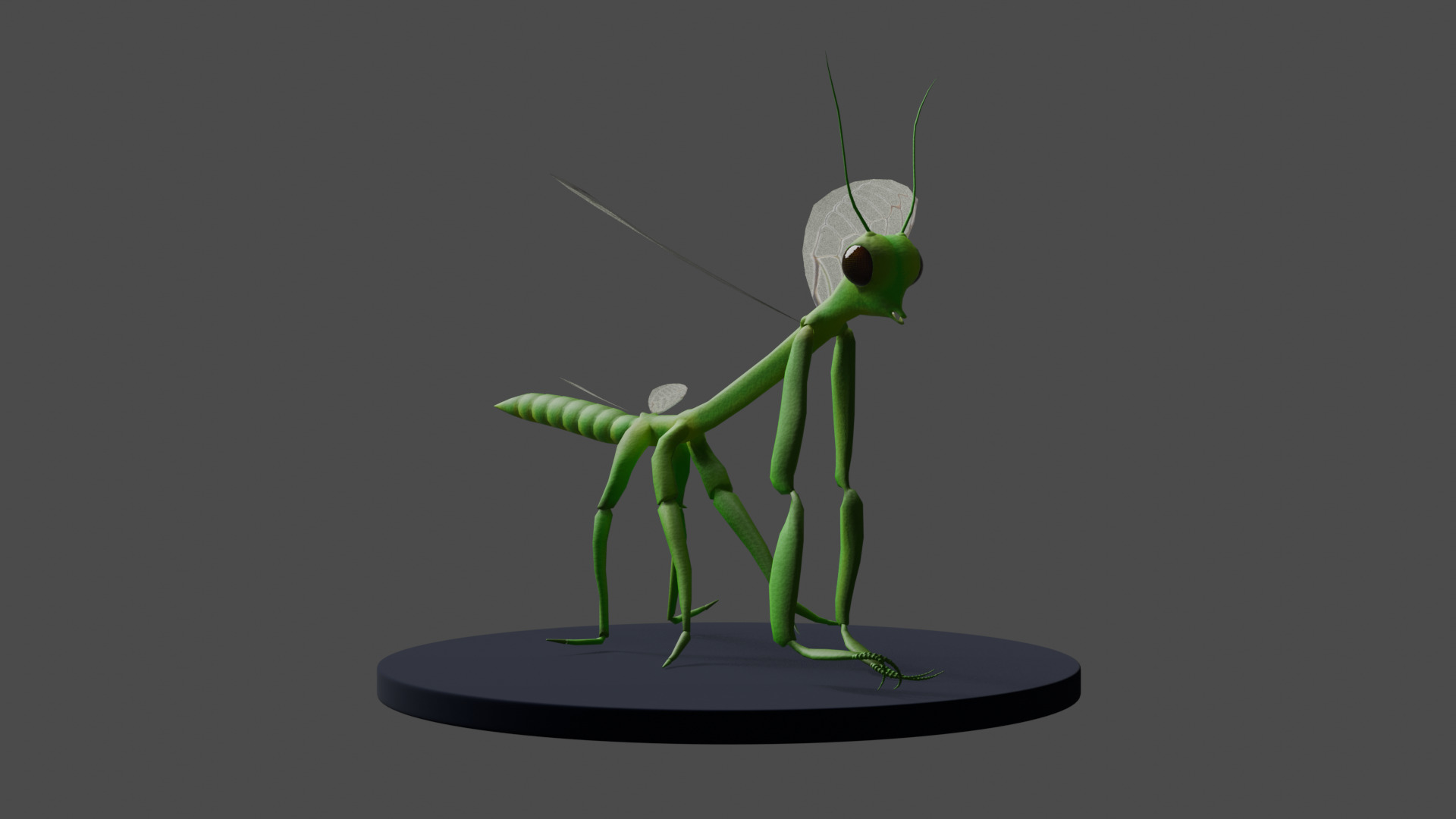 Cric Insect Low-poly 3D model_3