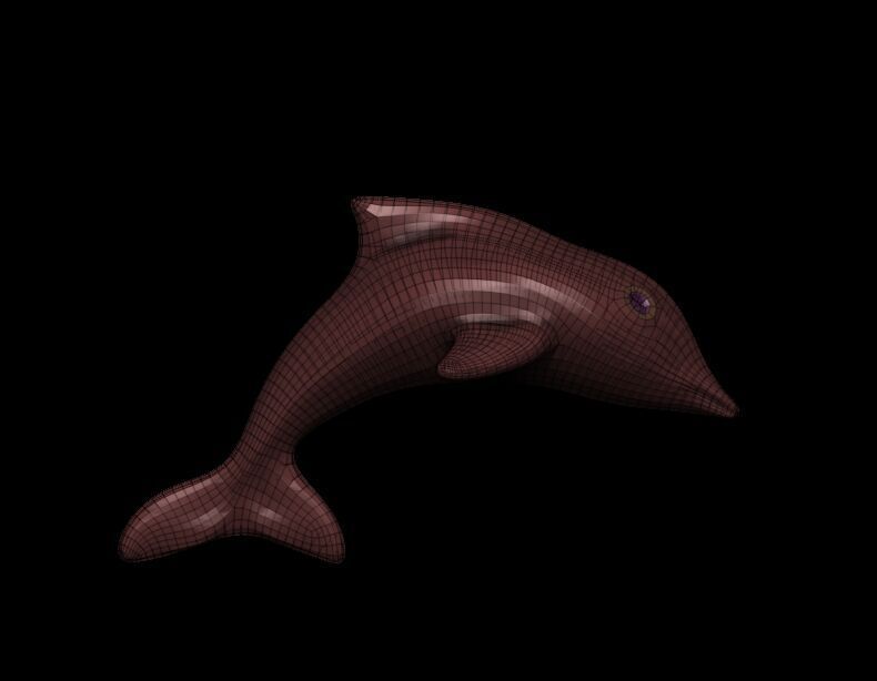 Dolphin Base Meshes 3 Models 3D print model_1