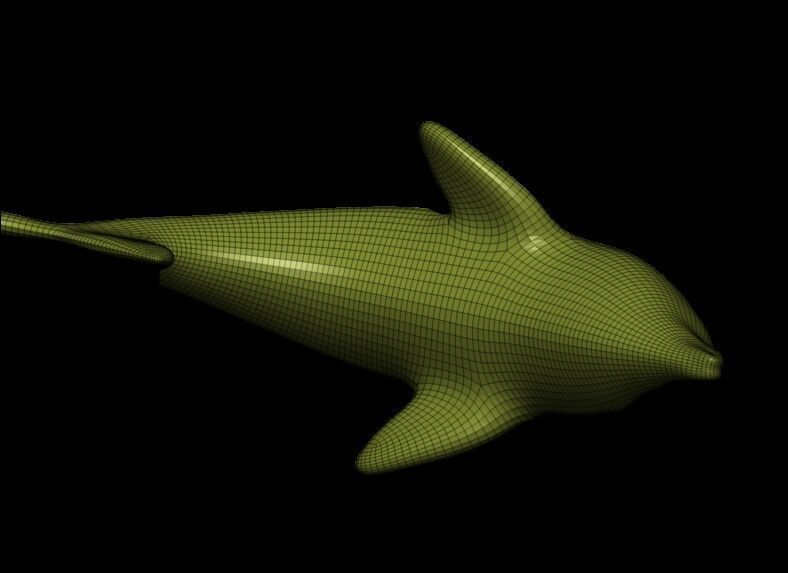 Dolphin Base Meshes 3 Models 3D print model_6