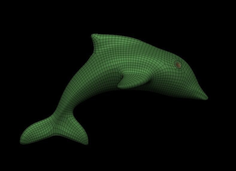 Dolphin Base Meshes 3 Models 3D print model_4
