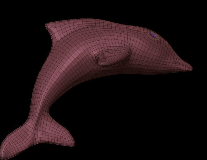 Dolphin Base Meshes 3 Models 3D print model_3