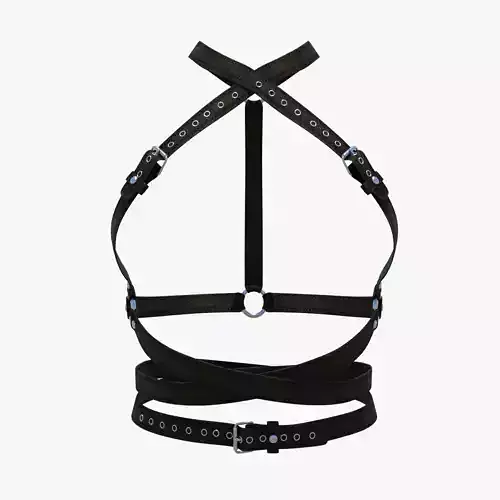Body Harness SXS38