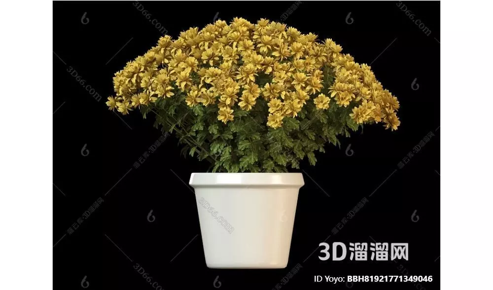 Flower Free 3D model